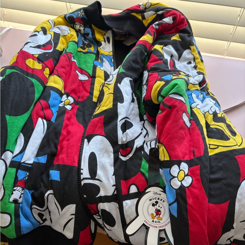 Forever 21 Disney Mickey & Minnie Mouse Vintage 90s vibe Jacket